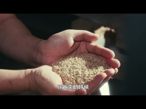  一份支持，一份溫暖｜陳協和碾米廠與我們同行